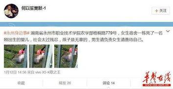 死婴在线观看,揭开生命终结的神秘面纱 第3张 死婴在线观看,揭开生命终结的神秘面纱 第3张